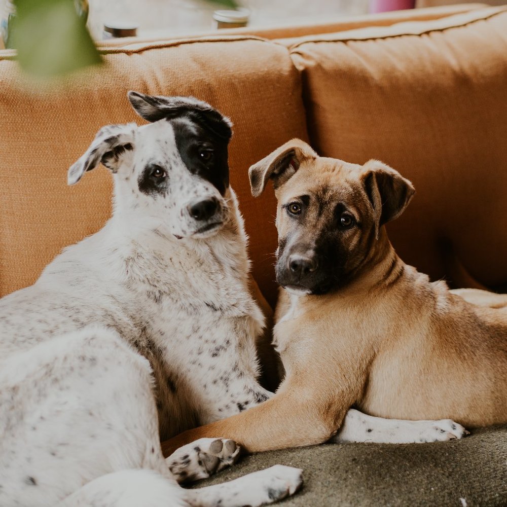 Selling for a cause!